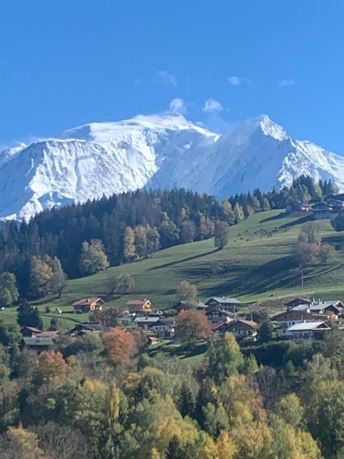 Chalet Mont Blanc Combloux Esterno foto